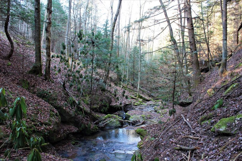 028 main stream valley near the west boundary