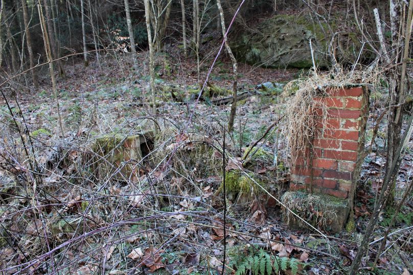 029 remnants of the old school house that use to sit on the western edge of the property 