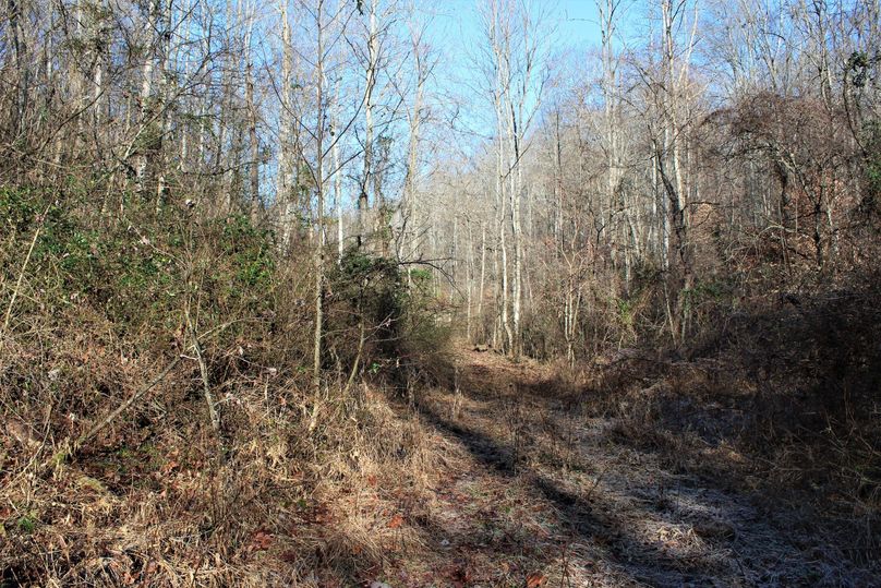 034 network of atv trails leading throughout the property