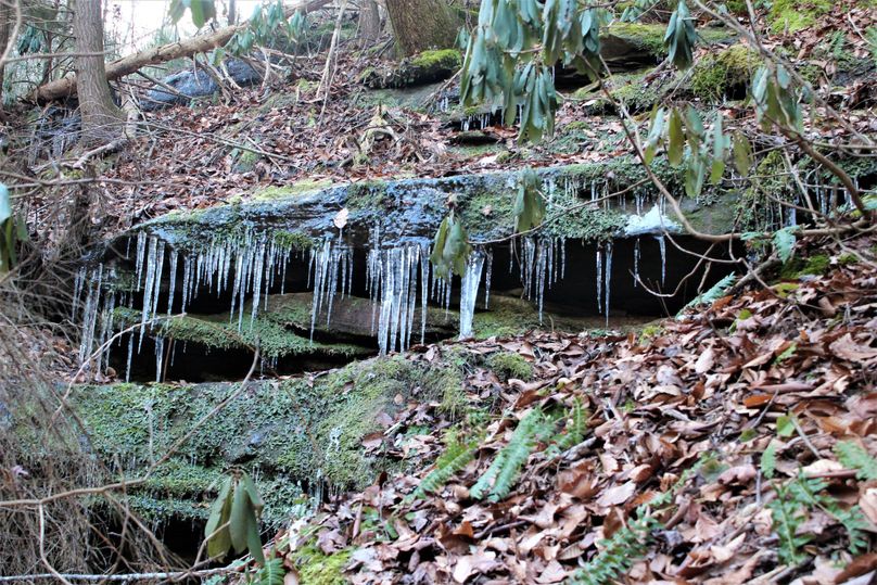 035 beautiful frigid creation