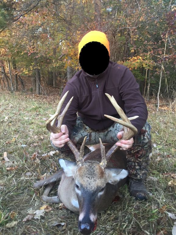 Ebig buck 2