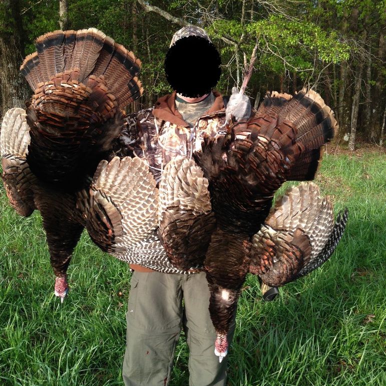 First turkey hunt