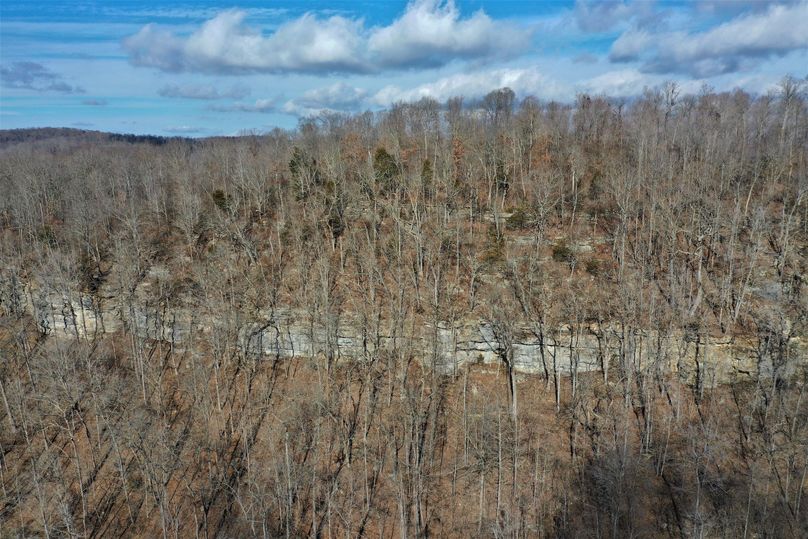 021 aerial drone shot of the limestone cliff line near the north boundary