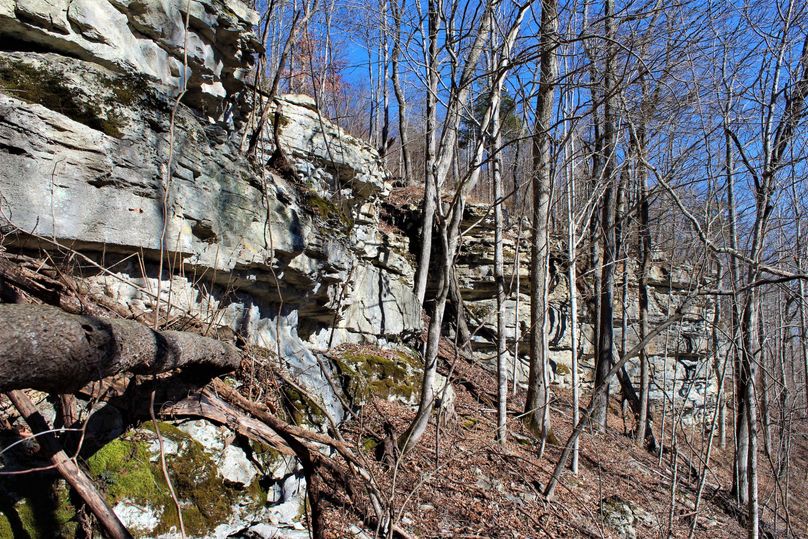 031 limestone cliff line near the gap in the main draw