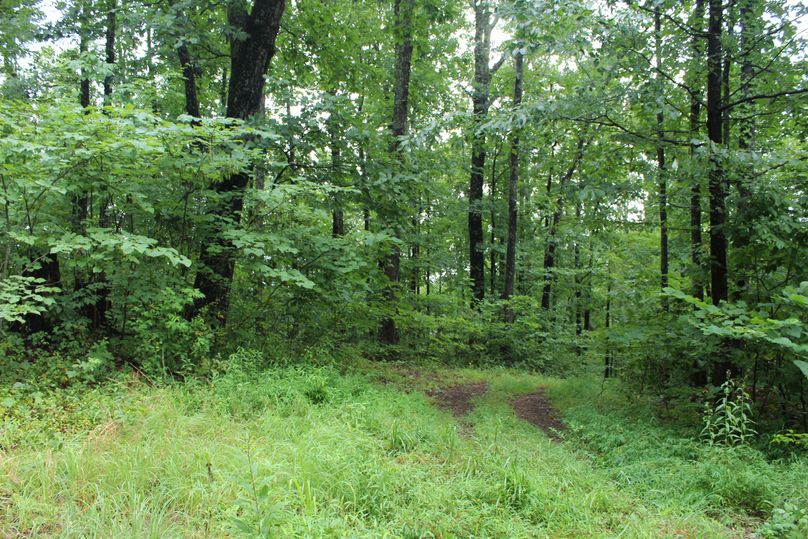 004 old road at west boundary