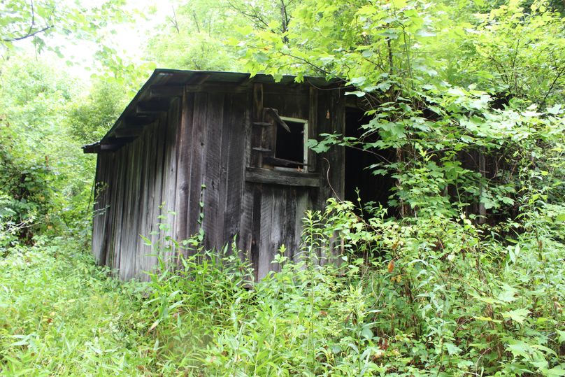 008 old cabin in woods