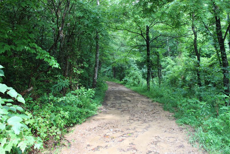 014 dirt road entrance along blacktop road