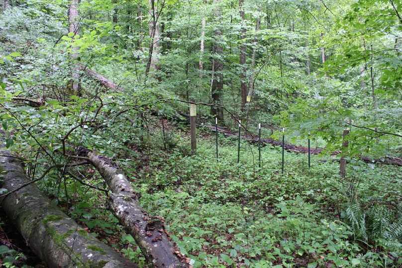 015 west boundary on old road