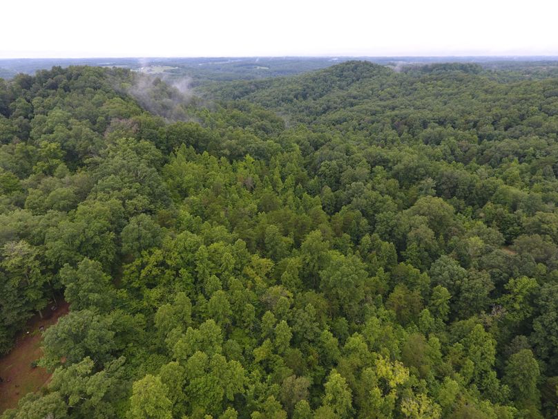 019 aerial from center of property facing northwest