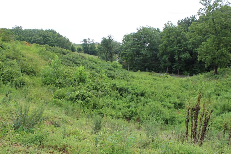 020 overgrown field along south border