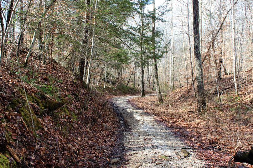 025 gravel drive leading into the property