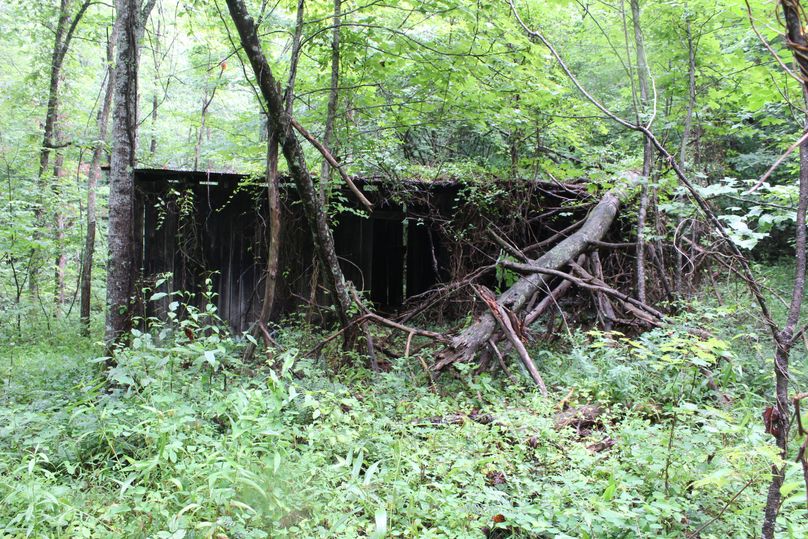 026 old barn remnants