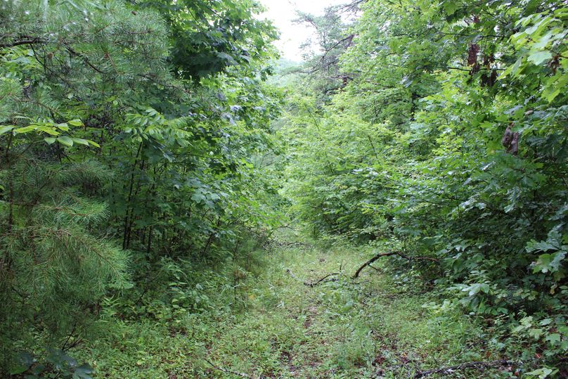 028 old road along southwest boundary