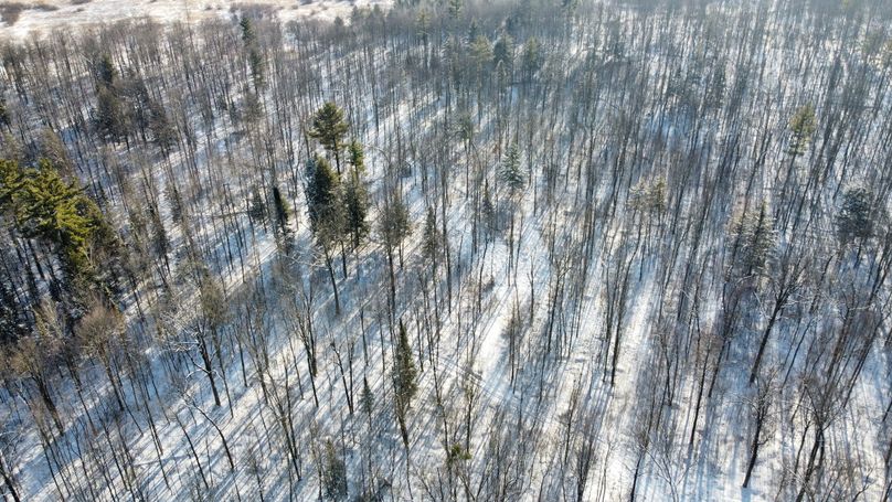 Photo 6619180 dji 44 jpg 4053756 0 2021124144752 photo original