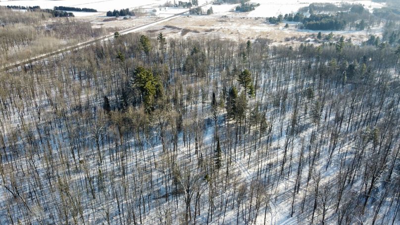 Photo 6619181 dji 45 jpg 4060265 0 2021124144818 photo original