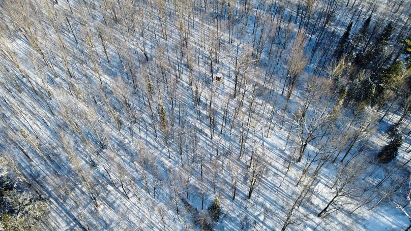 Photo 6619185 dji 49 jpg 4178492 0 2021124144924 photo original