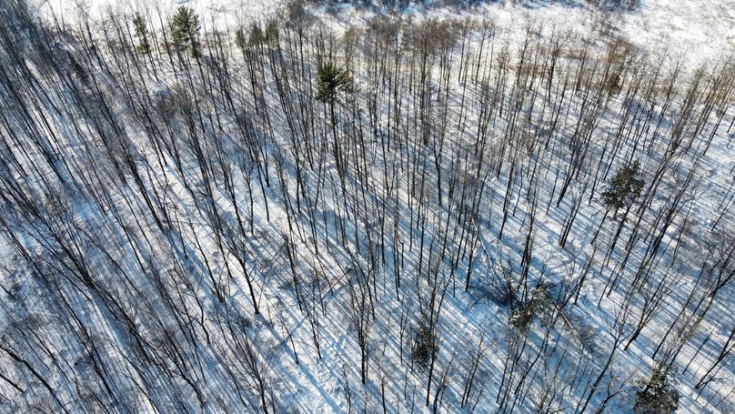 Photo 6619186 dji 50 jpg 4165013 0 202112414504 photo original