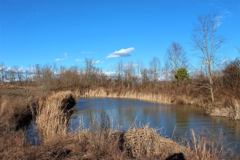 002 1 of 2 small ponds along the south boundary of the property
