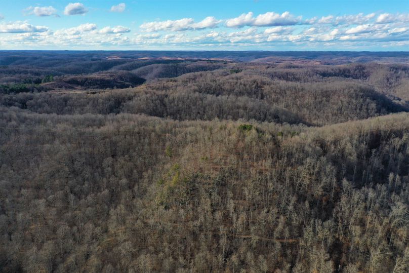 014 aerial drone shot from the center of the property looking to the west