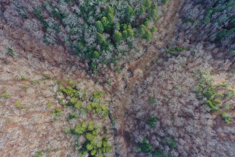 018 aerial drone shot looking straight down on one of the creeks in the upper reaches