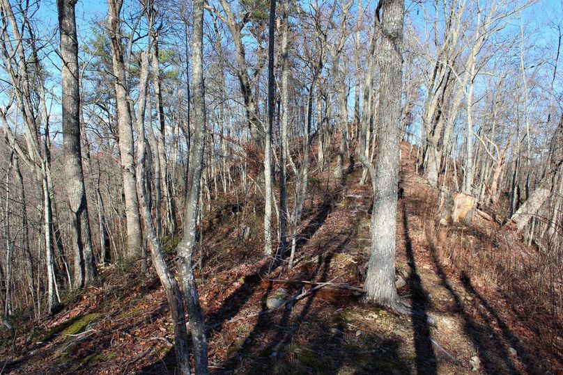 021 another of the popular hangouts for the local elk herd as evident they like to squat here