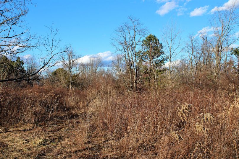024 open field area along the eastern ridge boundary