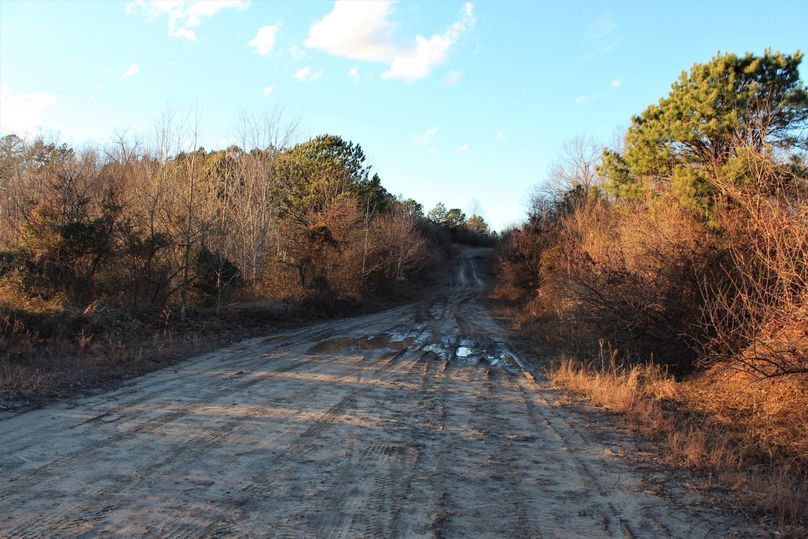 025 the old mine road leading in the last 5 miles to the property