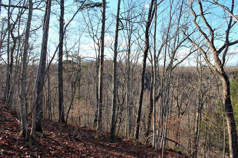 026 an east facing ridge slope