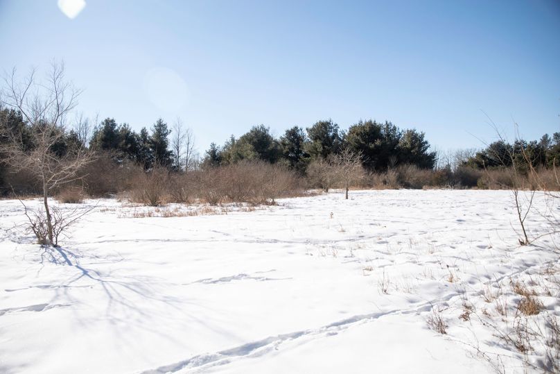 19 established food plots are holding deer and keeping them healthy throughout the winter