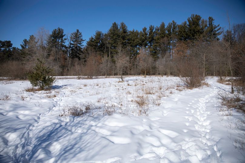 12 possible build site