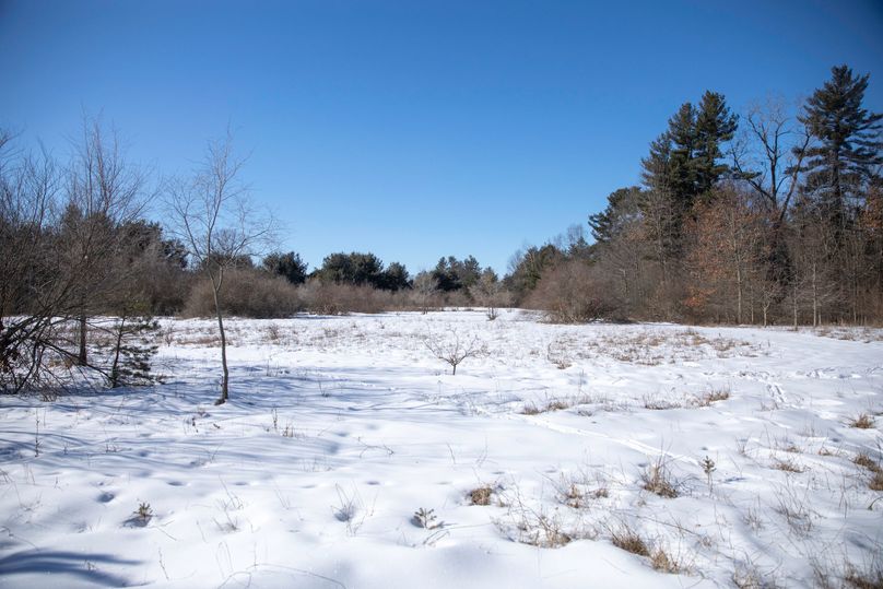 25 food plot in the center of the property