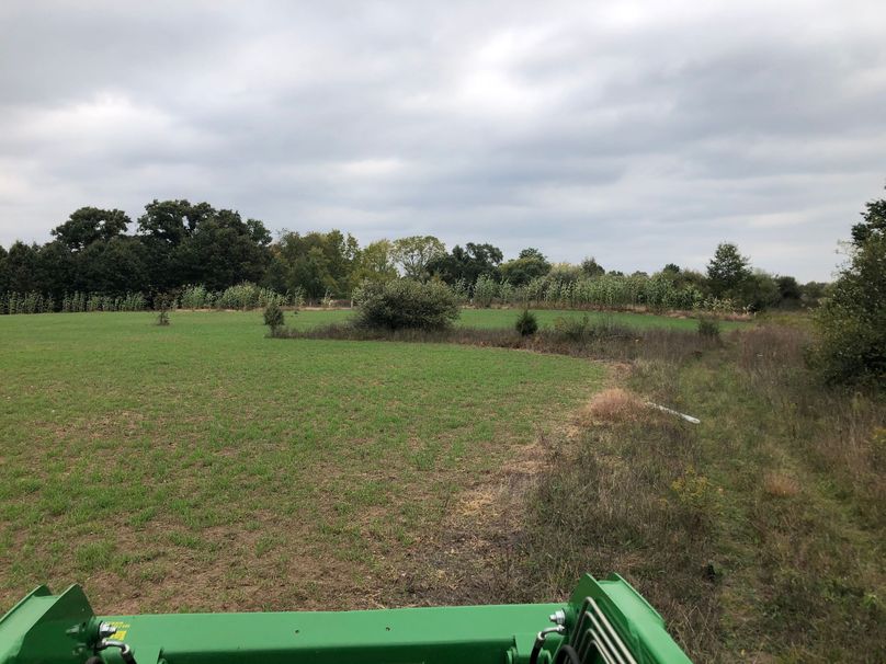 26 large food plot in the summer