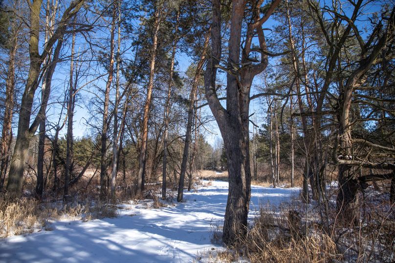 2 main entrance off belding rd