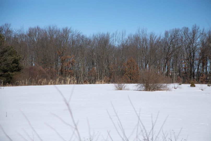 3 large food plot possible build site on north end