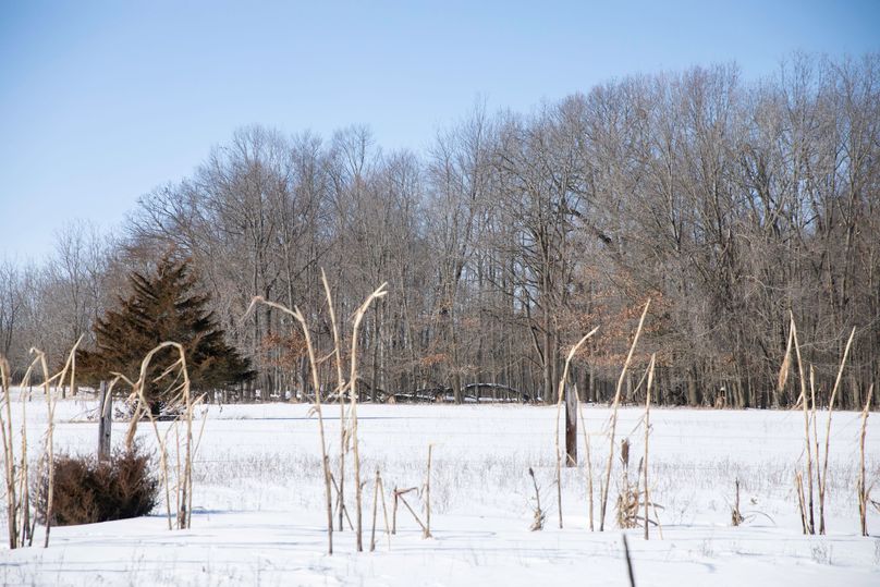 6 deer feeding along the treeline while a toured the property