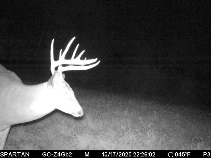 8 a trail cam