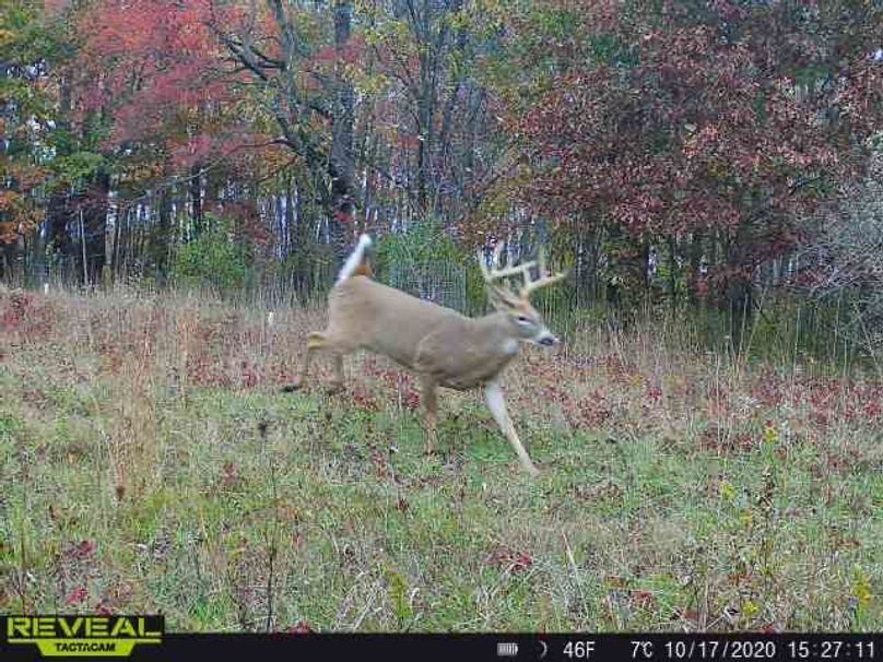 25 b trail cam pic