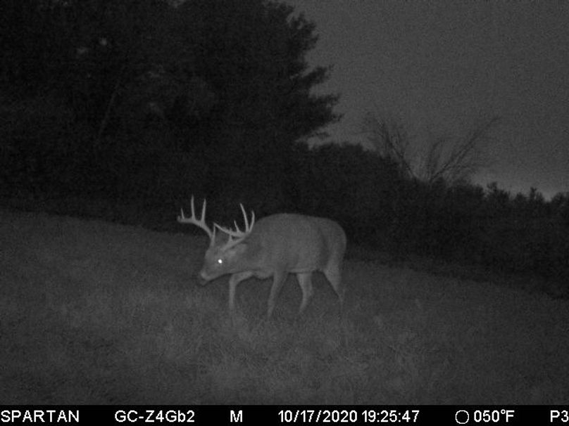 28 trail cam pic