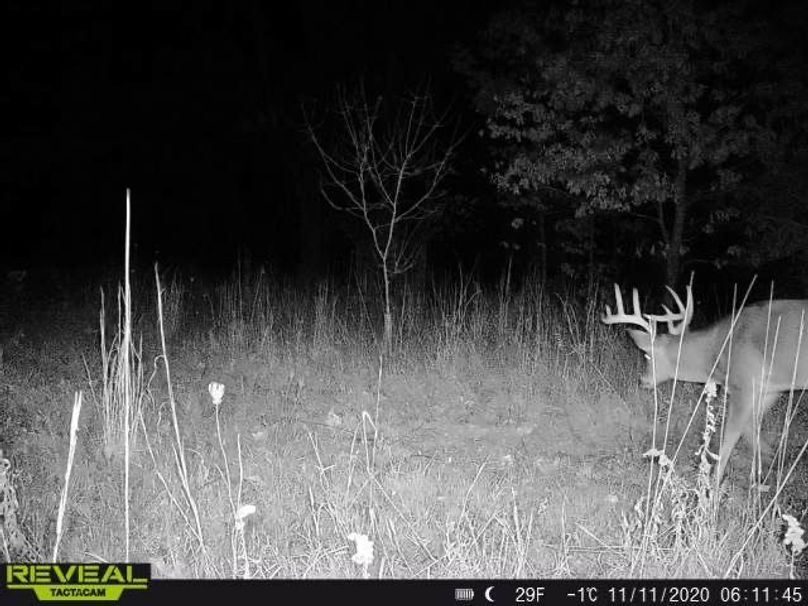 30 trail cam pic