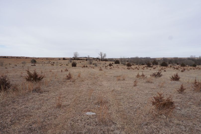 Center of west pasture looking north