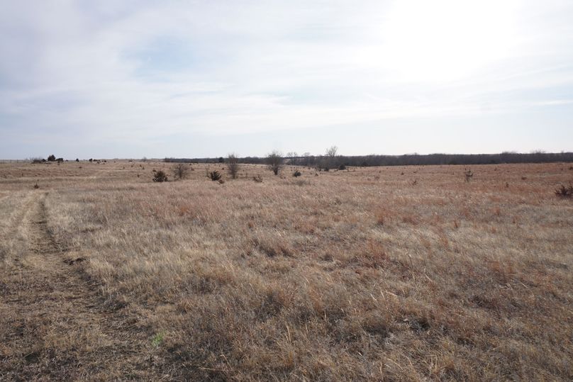 Center of east pasture looking south