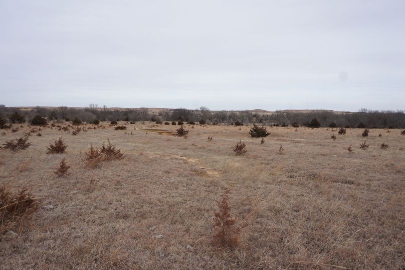 Center point of west pasture looking east