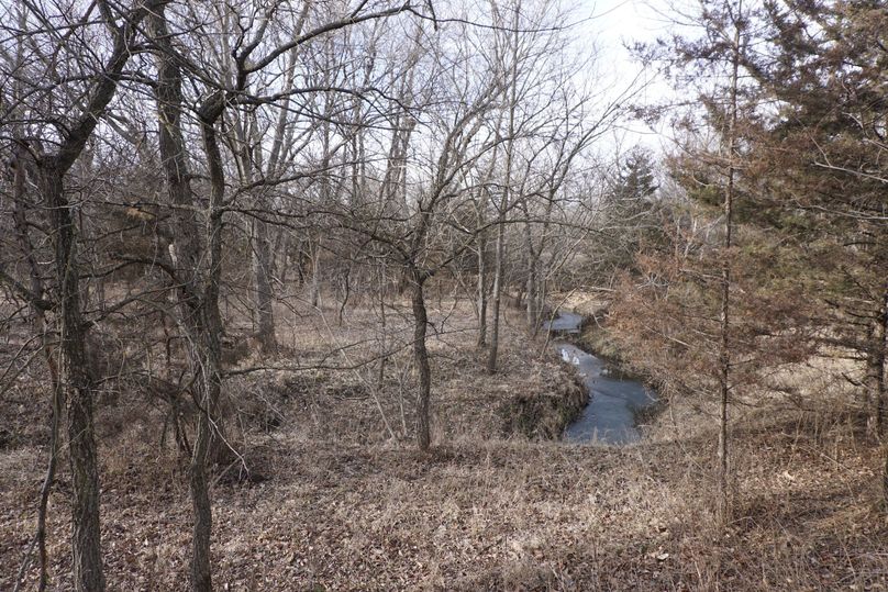 2 brushy creek bottom looking north