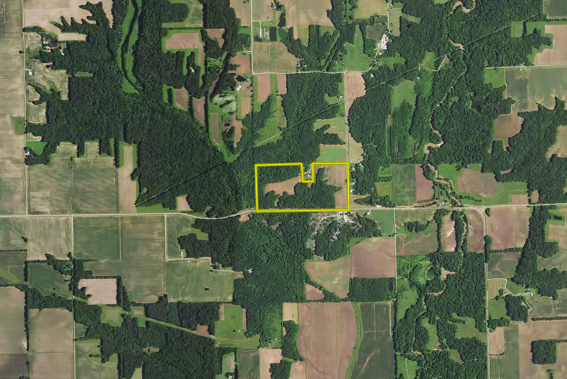 Screen shot 2021-02-03 at 2.23.44 pm