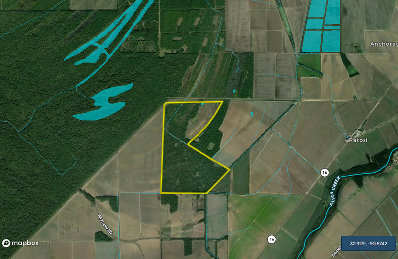 Screen shot 2021-01-18 at 8.49.59 pm