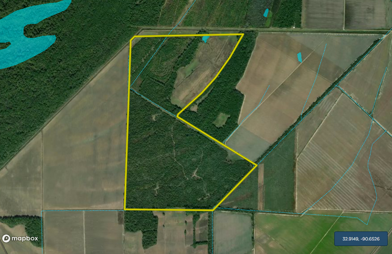 Screen shot 2021-01-18 at 8.49.37 pm