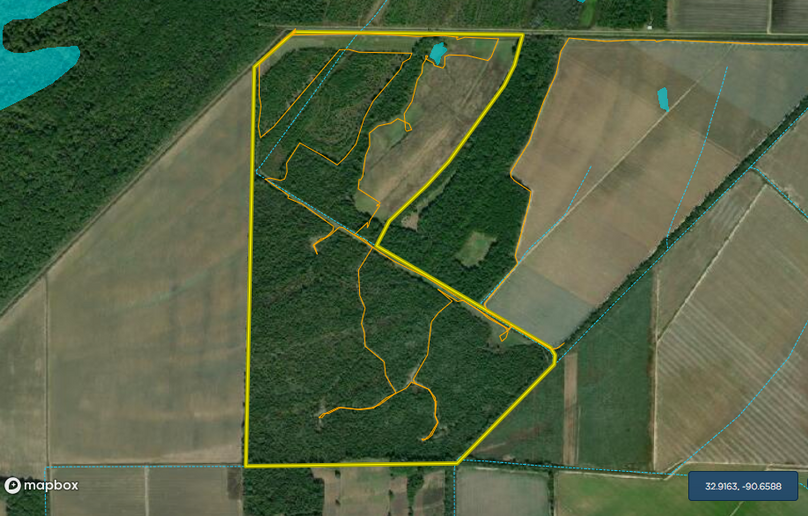 Screen shot 2021-02-03 at 11.32.29 pm