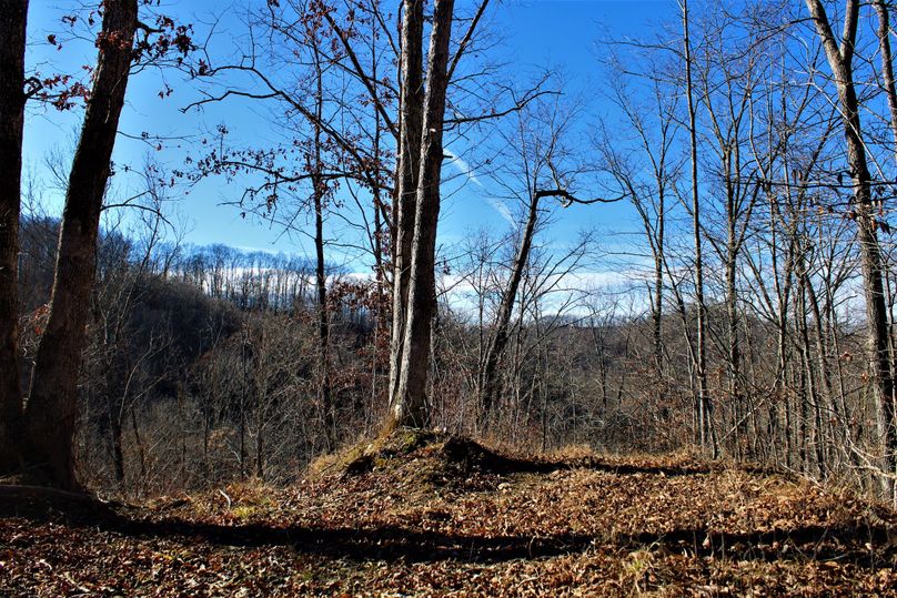 001 beautiful bluebird skies from the ridgetop