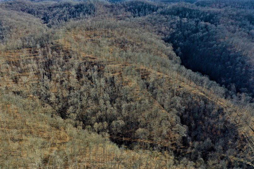 007 birds eye view from the south boundary looking north