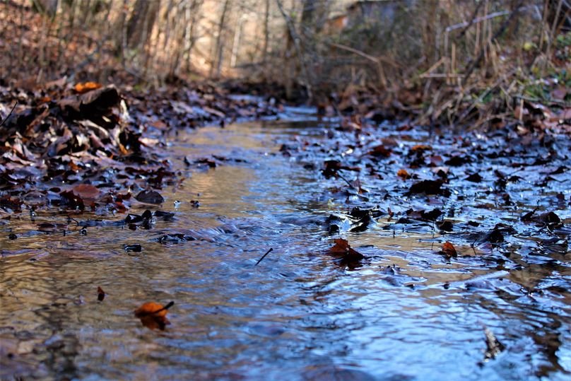 004 beautiful flowing water from buck branch on the property